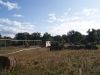 camp_bales_de_palla