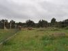 camp_bales_de_palla_03