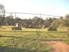 camp_bales_de_palla_05