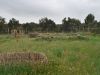 camp_bales_de_palla_06