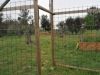 camp_bales_de_palla_07