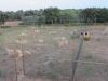 camp_trincheras_04