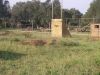 camp_trincheras_06