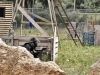 pista 3 paintball Girona_09