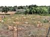 pista 3 paintball Girona_01