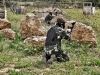 pista 3 paintball Girona_08