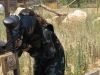 paintball_11
