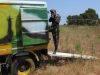paintball_14